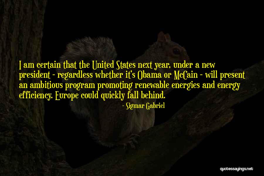 Sirloin Tip Quotes By Sigmar Gabriel Sirloin Tip Quotes By Sigmar Gabriel