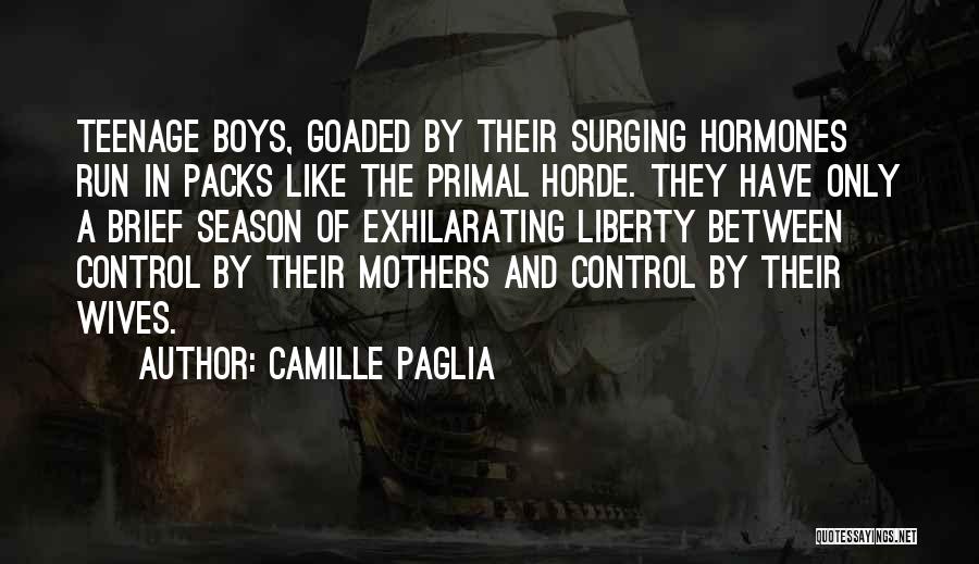Siscon Quotes By Camille Paglia