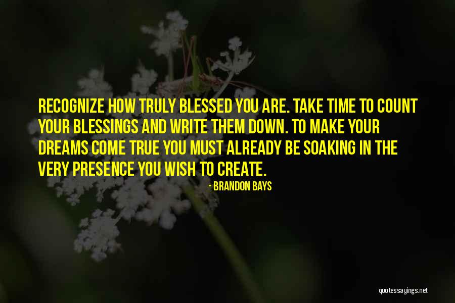 Sisk12 Quotes By Brandon Bays Sisk12 Quotes By Brandon Bays