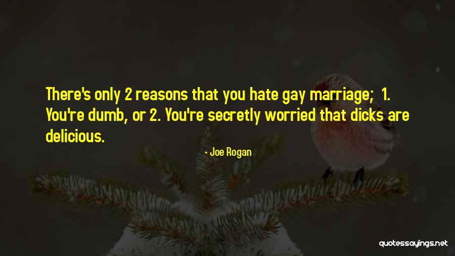 Sisodia Palace Quotes By Joe Rogan Sisodia Palace Quotes By Joe Rogan