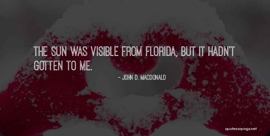 Sisqo Unleash Quotes By John D. MacDonald