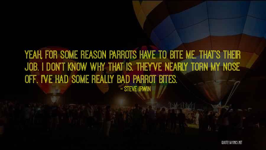 Sisros Cakery Quotes By Steve Irwin Sisros Cakery Quotes By Steve Irwin