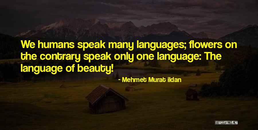 Sistani Fatwa Quotes By Mehmet Murat Ildan Sistani Fatwa Quotes By Mehmet Murat Ildan
