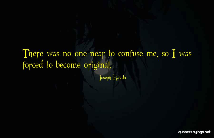 Sistematica Significado Quotes By Joseph Haydn