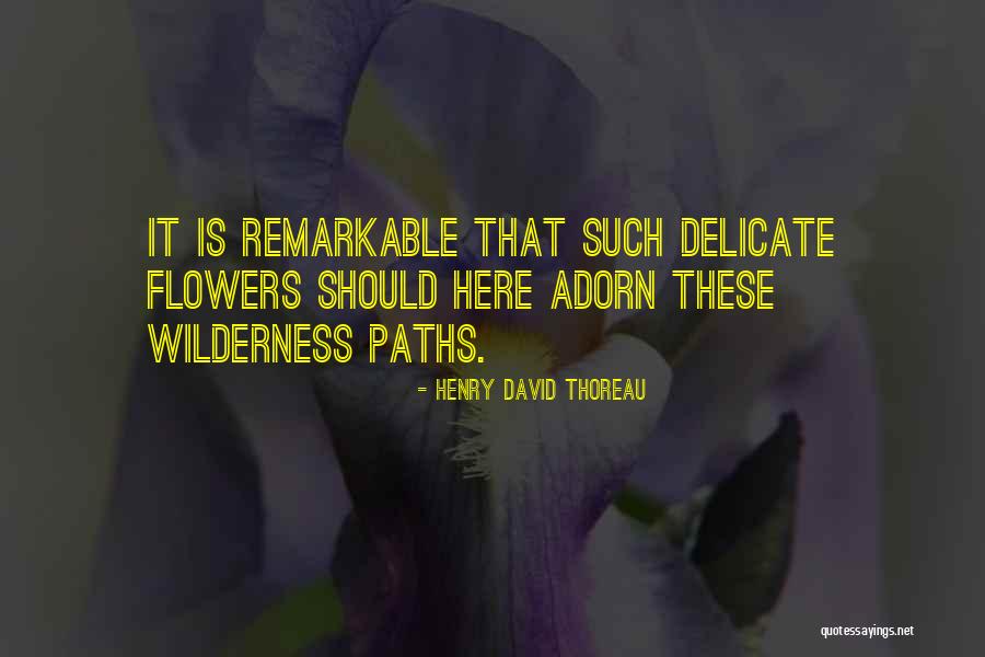Sistematico Significado Quotes By Henry David Thoreau Sistematico Significado Quotes By Henry David Thoreau
