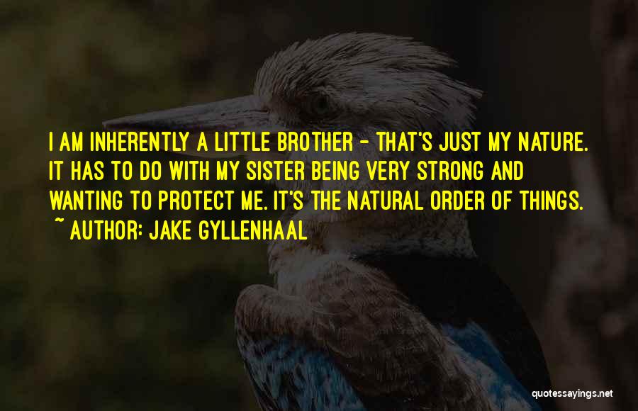 Sister And Brother Quotes By Jake Gyllenhaal