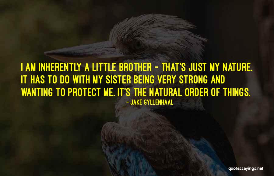 Sister And Brother Quotes By Jake Gyllenhaal