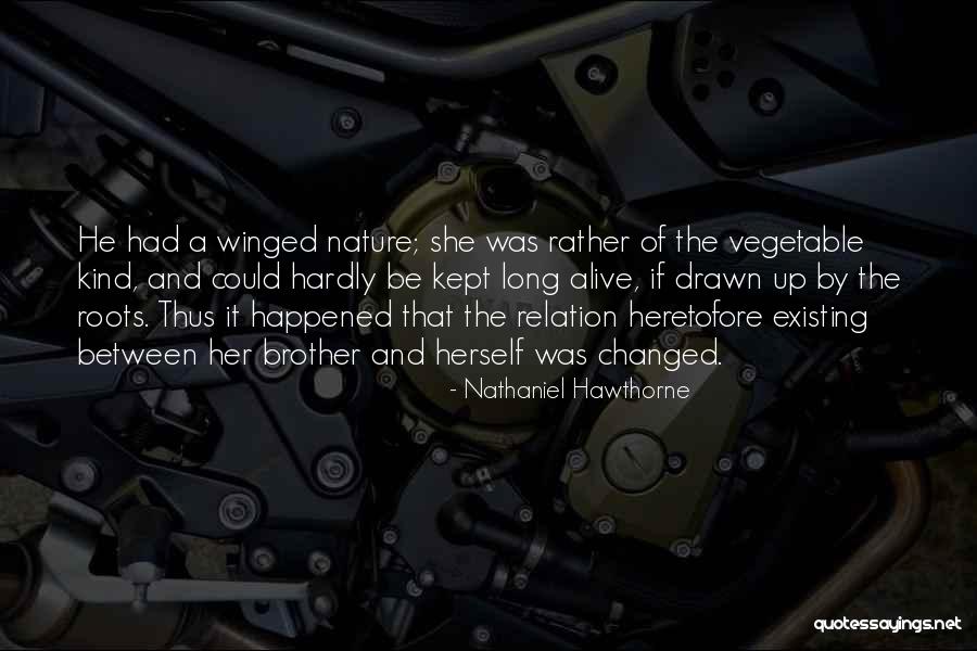 Sister And Brother Relation Quotes By Nathaniel Hawthorne