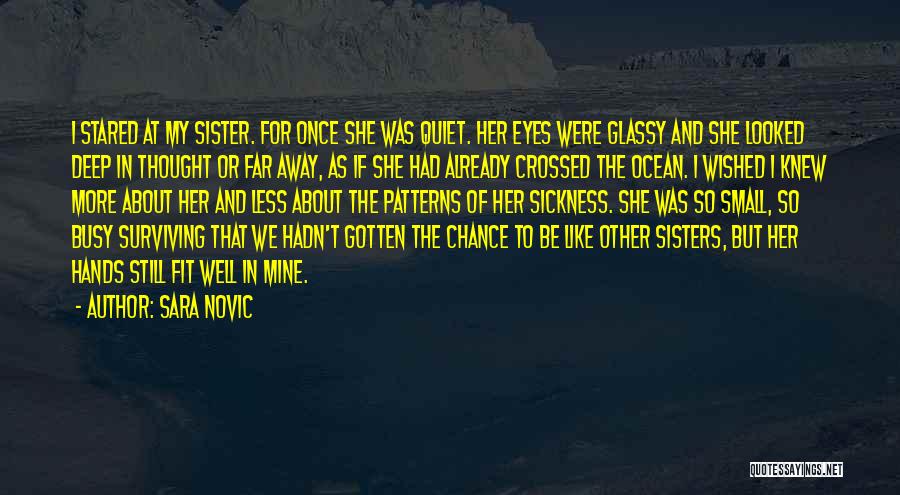 Sister Far Away Quotes By Sara Novic
