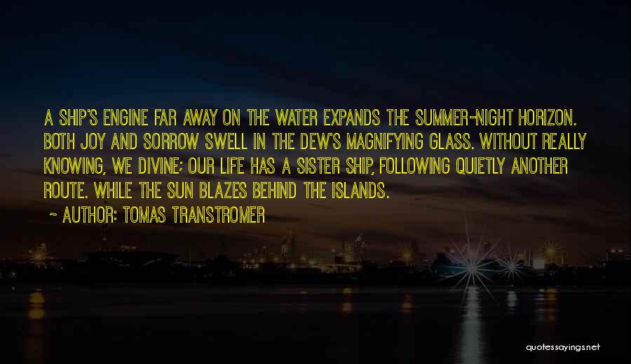 Sister Far Away Quotes By Tomas Transtromer