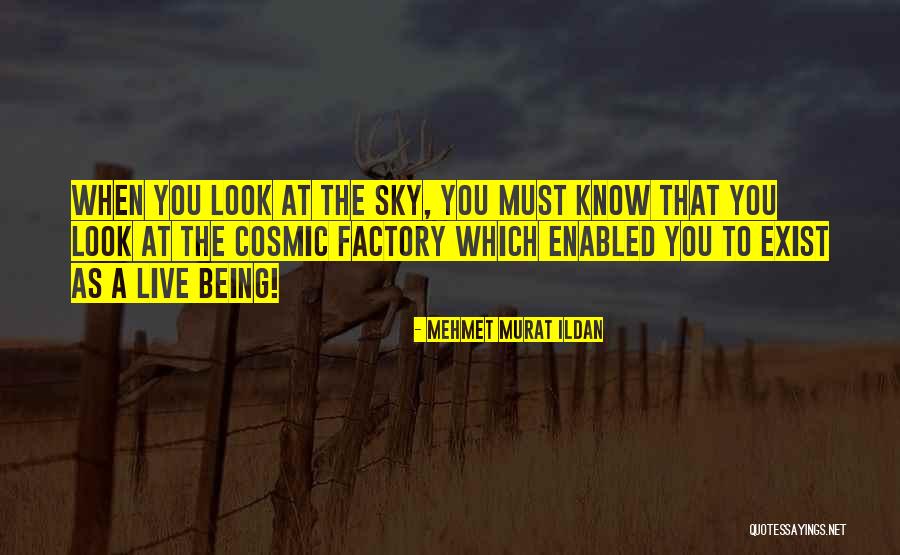 Sister Phrases Or Quotes By Mehmet Murat Ildan Sister Phrases Or Quotes By Mehmet Murat Ildan