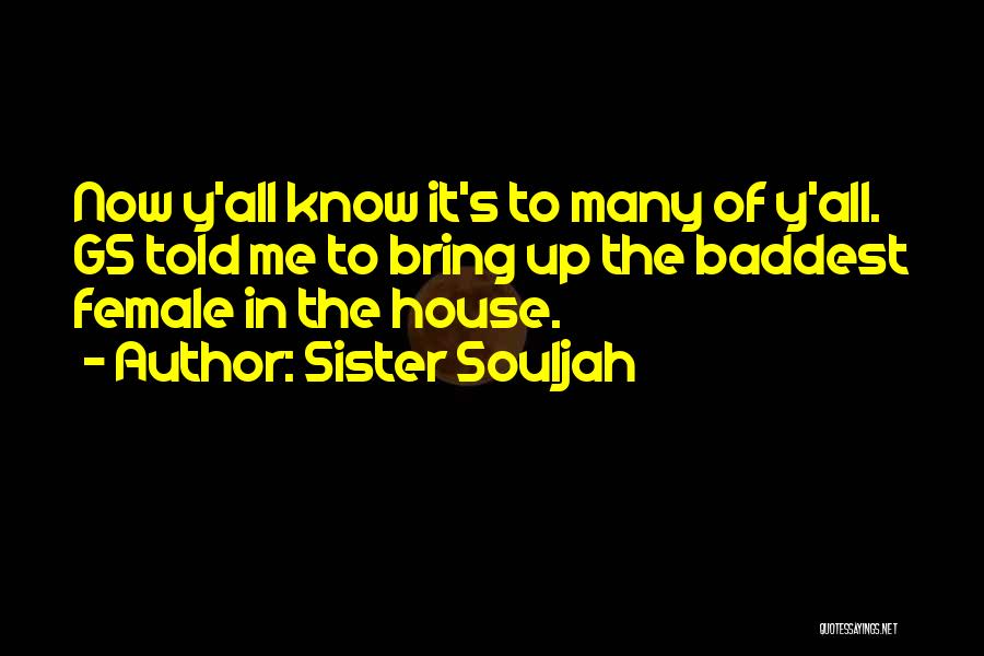 Sister Souljah Quotes 1409372