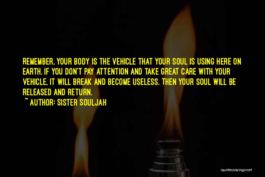 Sister Souljah Quotes 1445518