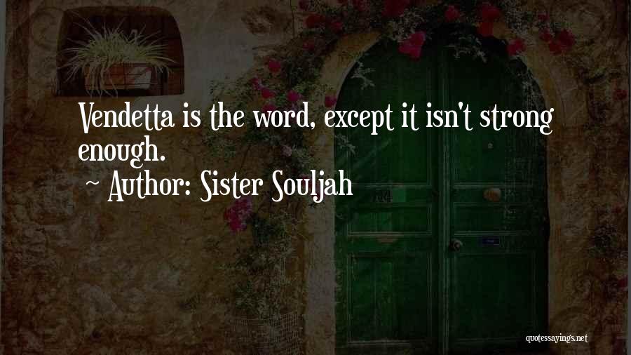 Sister Souljah Quotes 1458103