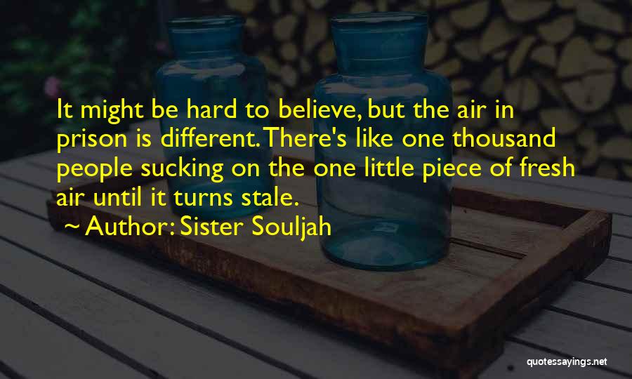 Sister Souljah Quotes 1703070