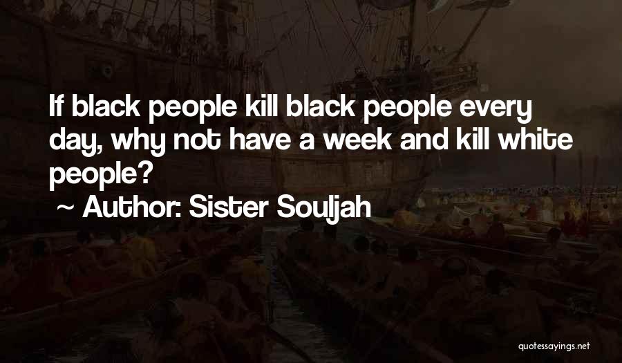 Sister Souljah Quotes 2034361