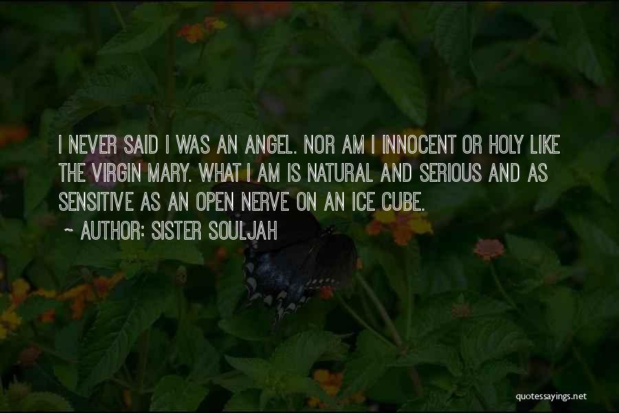 Sister Souljah Quotes 335819