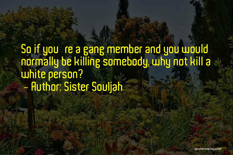 Sister Souljah Quotes 949308