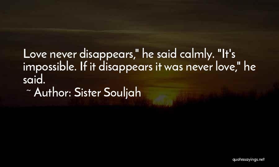 Sister Souljah Quotes 966941