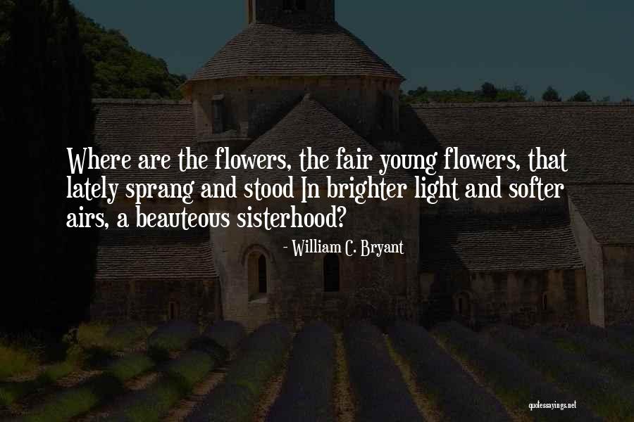 Sisterhood Quotes By William C. Bryant