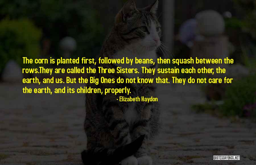 Sisters Are Quotes By Elizabeth Haydon Sisters Are Quotes By Elizabeth Haydon