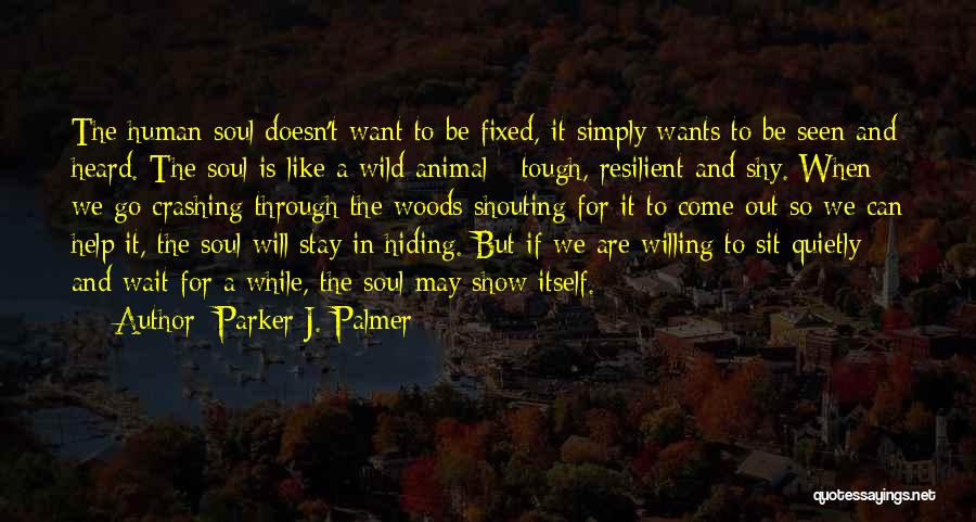 Sit And Wait Quotes By Parker J. Palmer