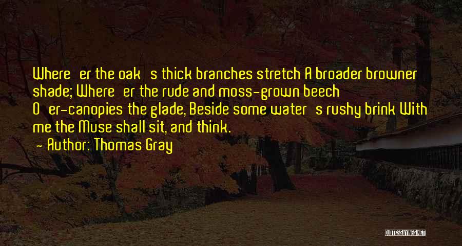 Sit Beside Me Quotes By Thomas Gray