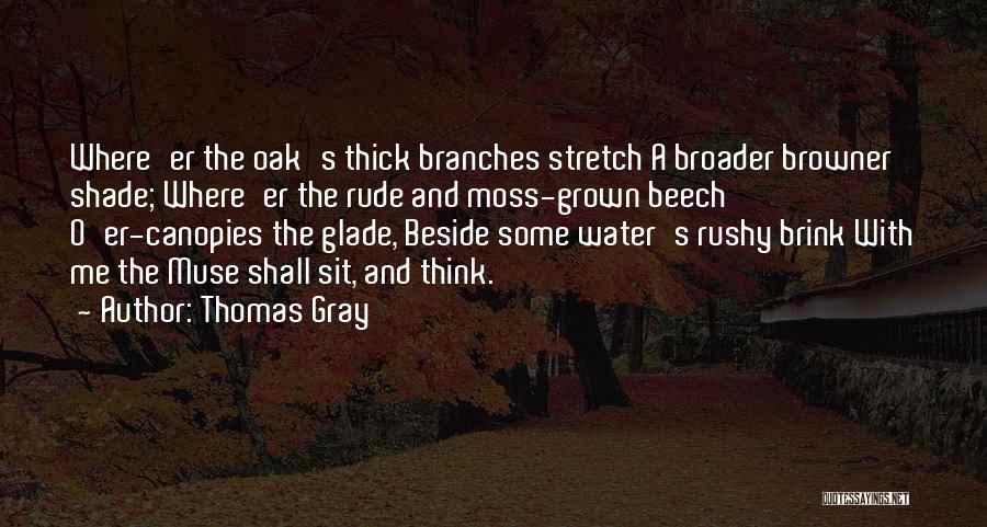 Sit Beside Quotes By Thomas Gray