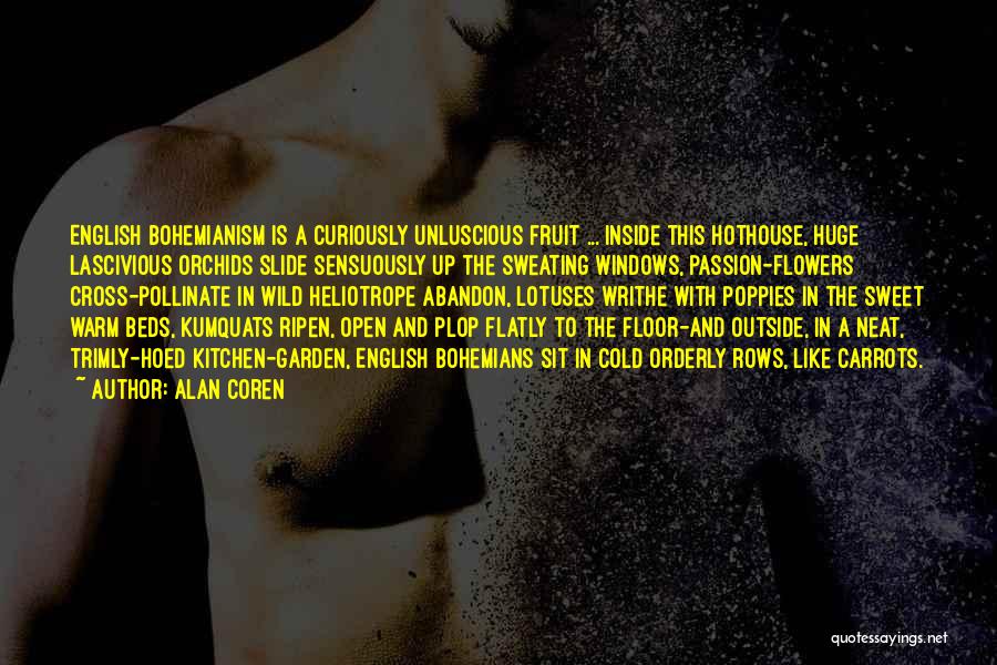 Sit Outside Quotes By Alan Coren