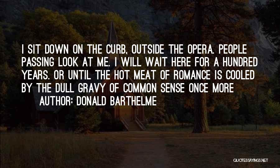 Sit Outside Quotes By Donald Barthelme