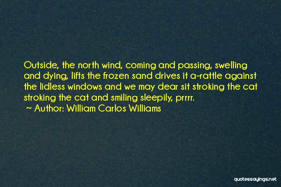 Sit Outside Quotes By William Carlos Williams