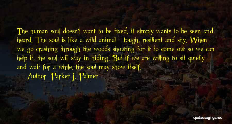 Sit Quietly Quotes By Parker J. Palmer