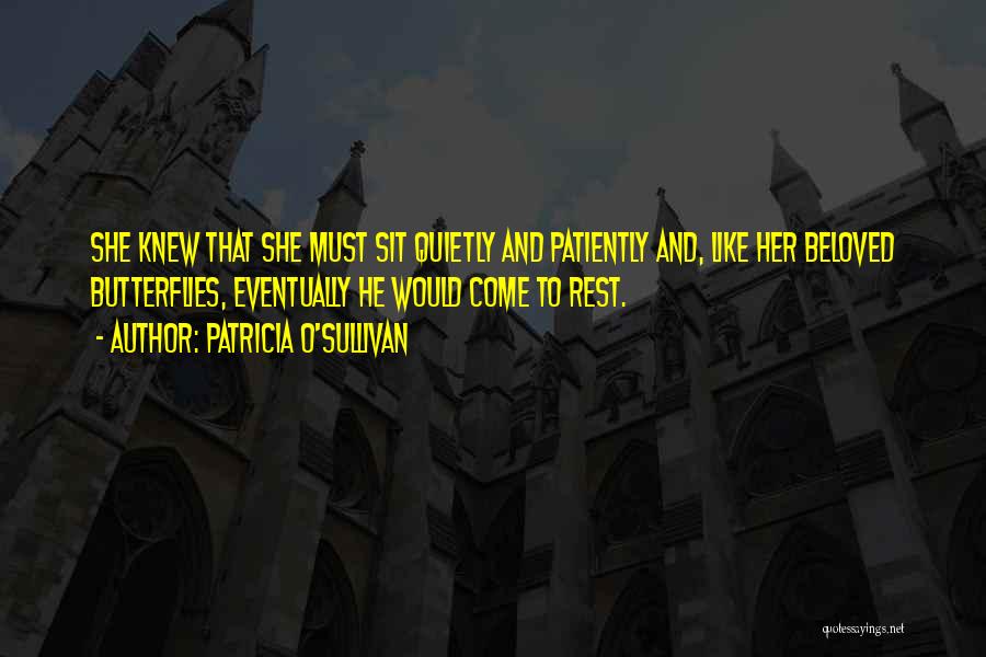 Sit Quietly Quotes By Patricia O'Sullivan