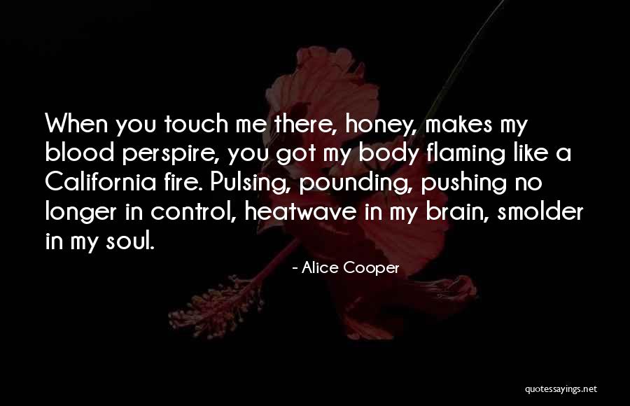 Sita Mata Quotes By Alice Cooper Sita Mata Quotes By Alice Cooper
