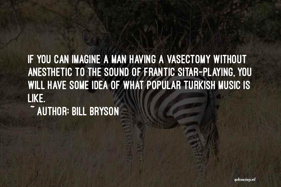 Sitar Music Quotes By Bill Bryson