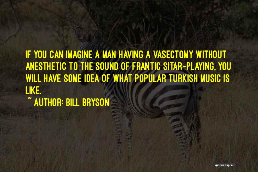 Sitar Quotes By Bill Bryson