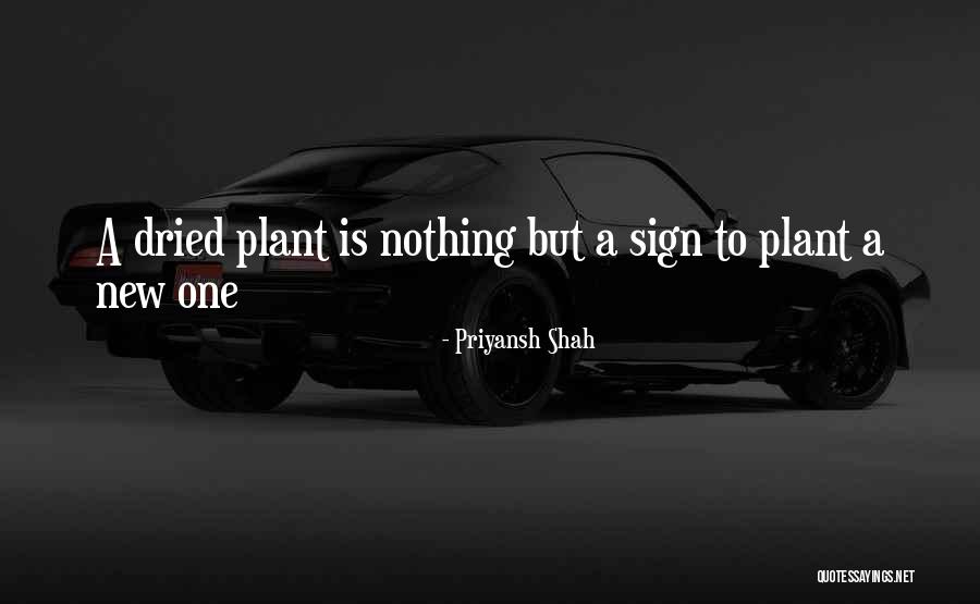 Sitaras Collections Quotes By Priyansh Shah Sitaras Collections Quotes By Priyansh Shah