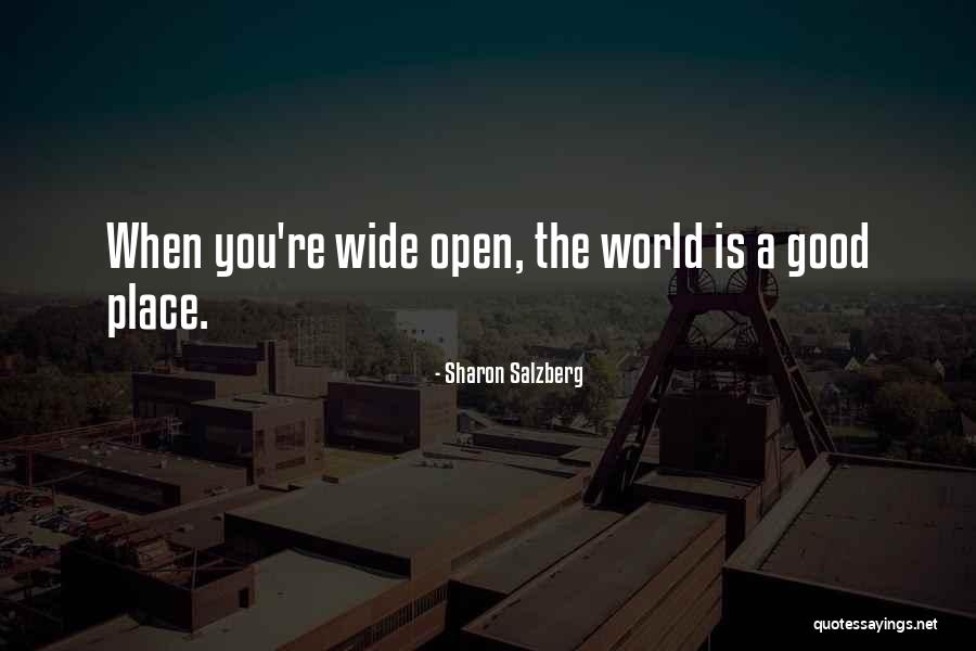 Sitaras Tinos Quotes By Sharon Salzberg Sitaras Tinos Quotes By Sharon Salzberg