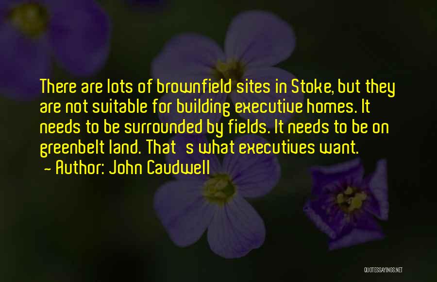 Sites Quotes By John Caudwell