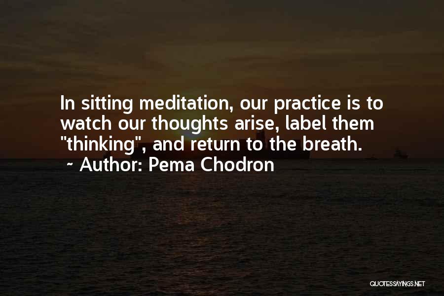Sitting And Thinking Quotes By Pema Chodron