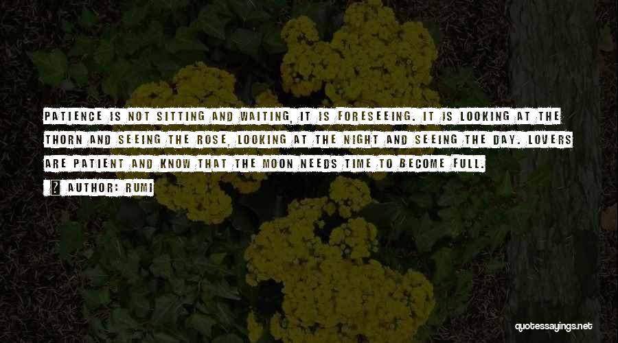 Sitting And Waiting Quotes By Rumi