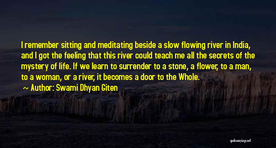 Sitting Beside Me Quotes By Swami Dhyan Giten