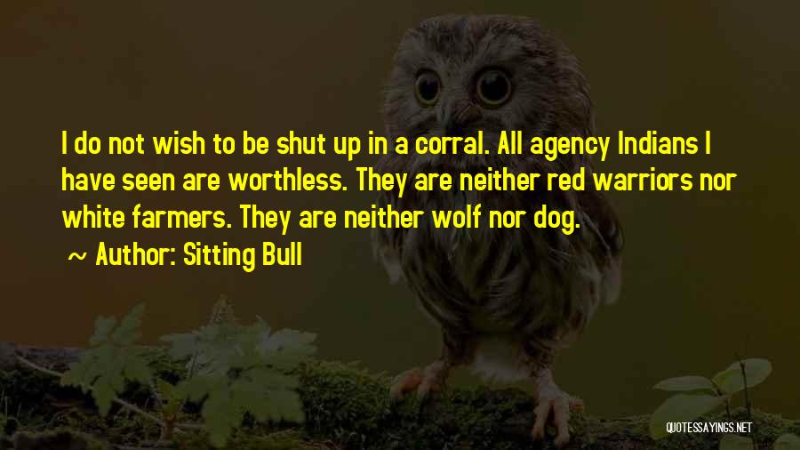Sitting Bull Quotes 207332