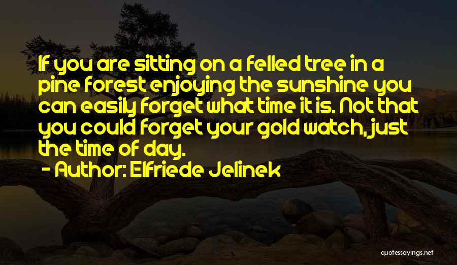 Sitting In A Tree Quotes By Elfriede Jelinek