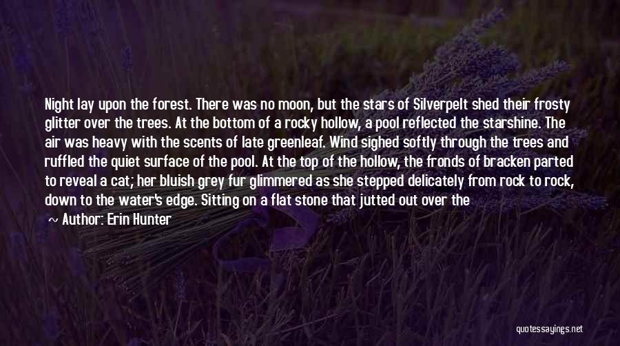 Sitting On A Rock Quotes By Erin Hunter