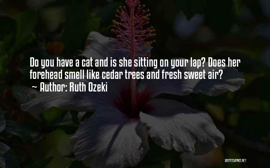 Sitting On Lap Quotes By Ruth Ozeki
