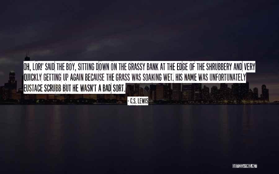 Sitting On The Edge Quotes By C.S. Lewis Sitting On The Edge Quotes By C.S. Lewis