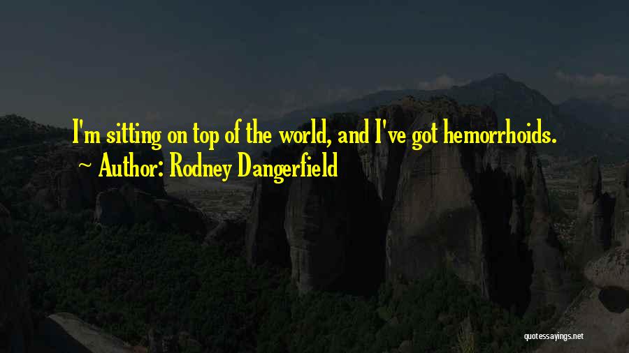 Sitting On Top Quotes By Rodney Dangerfield