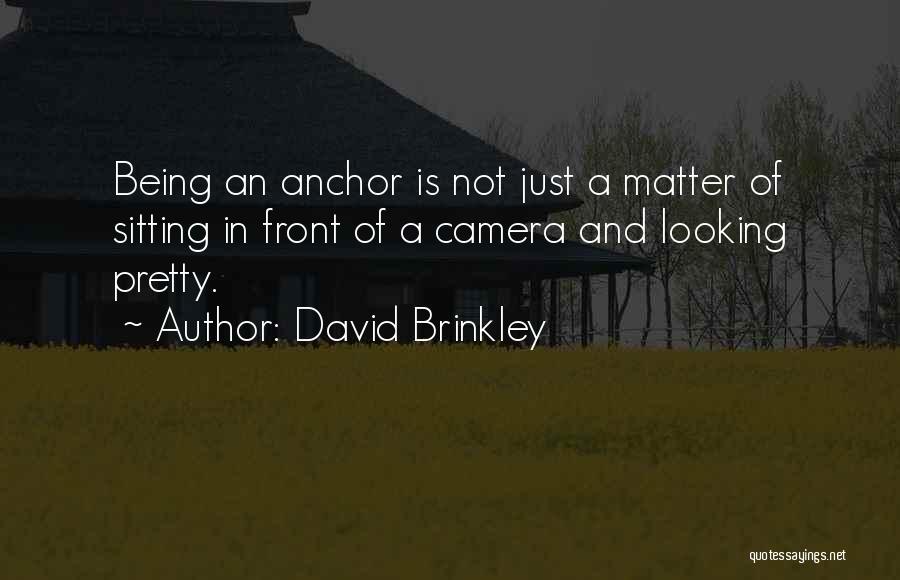 Sitting Pretty Quotes By David Brinkley