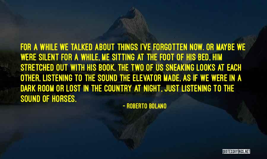 Sitting Room Quotes By Roberto Bolano Sitting Room Quotes By Roberto Bolano